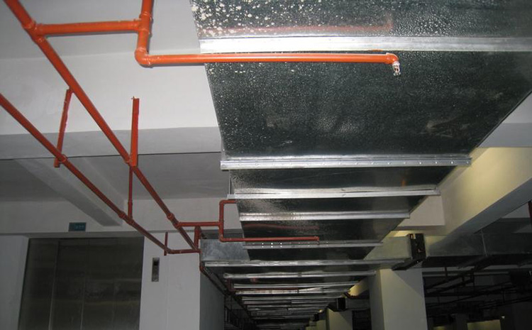 噴淋.jpg 噴淋.jpg