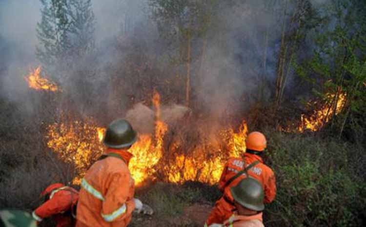 森林火災.jpg 森林火災.jpg