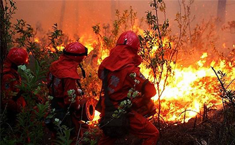 涼山森林火災.jpg 涼山森林火災.jpg