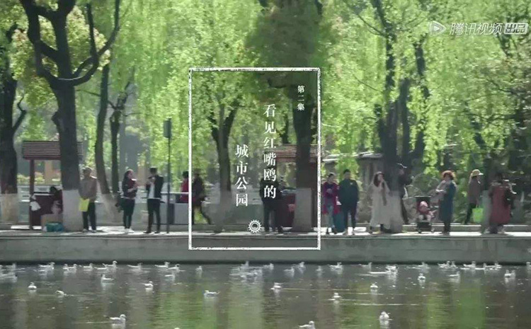 電影紀實72小時.jpg 電影紀實72小時.jpg