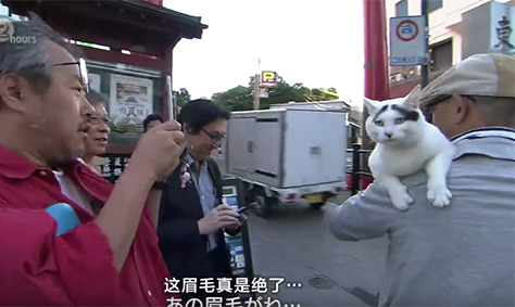 【互動家園】紀實72小時，溫暖的對白