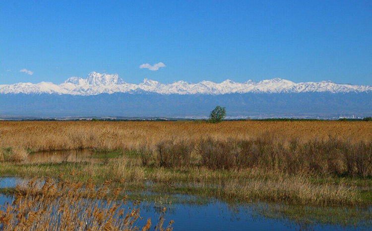 五家渠市青格達湖濕地保護站.jpg 五家渠市青格達湖濕地保護站.jpg